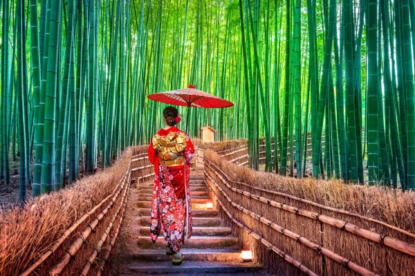 arashiyama-bambusy